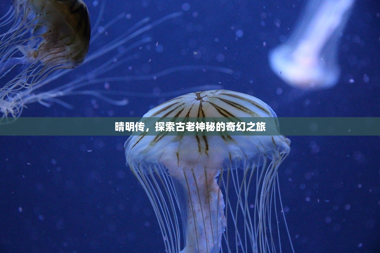 晴明传，探索古老神秘的奇幻之旅