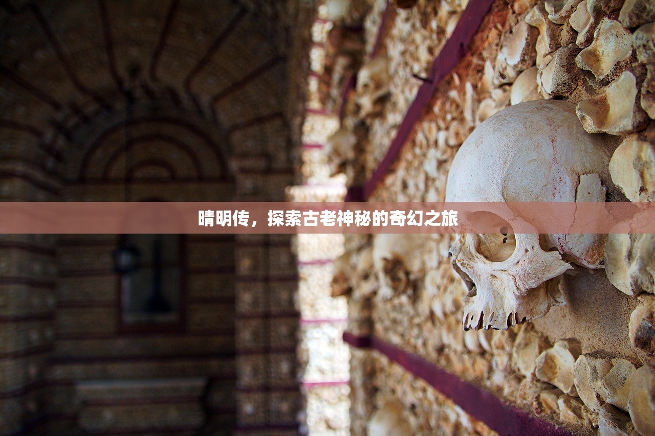 晴明传，探索古老神秘的奇幻之旅