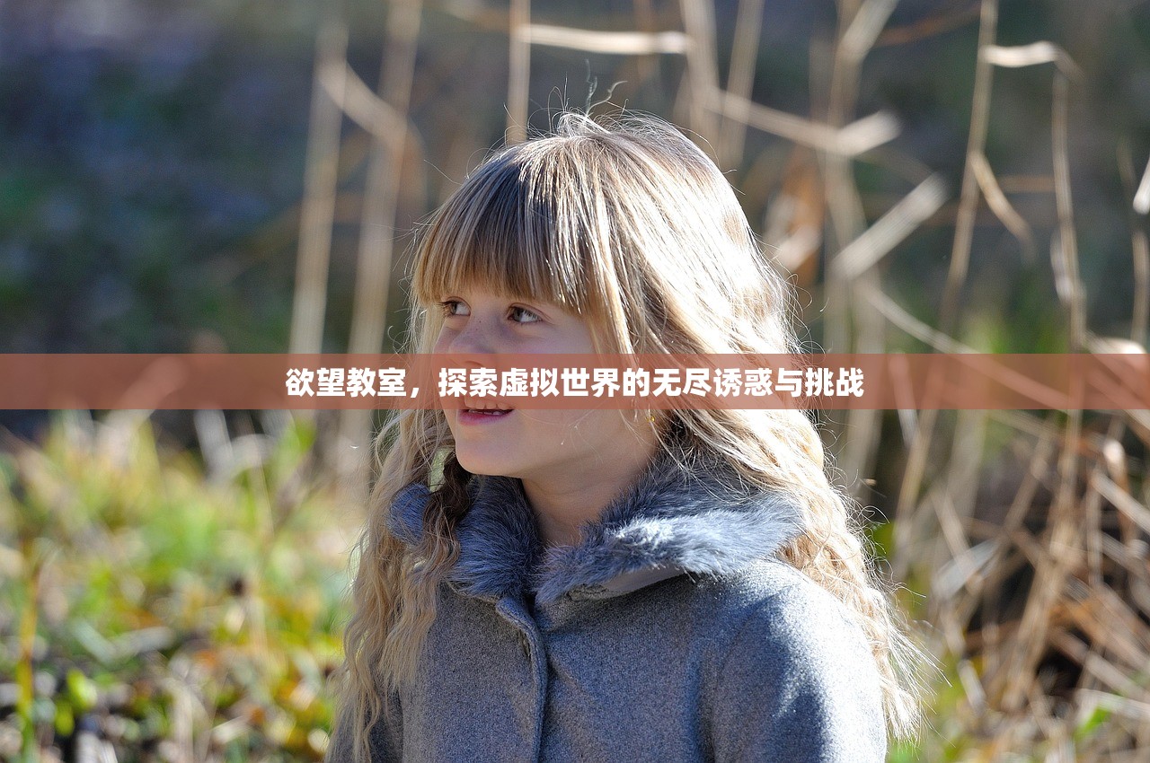 欲望教室，探索虚拟世界的无尽诱惑与挑战