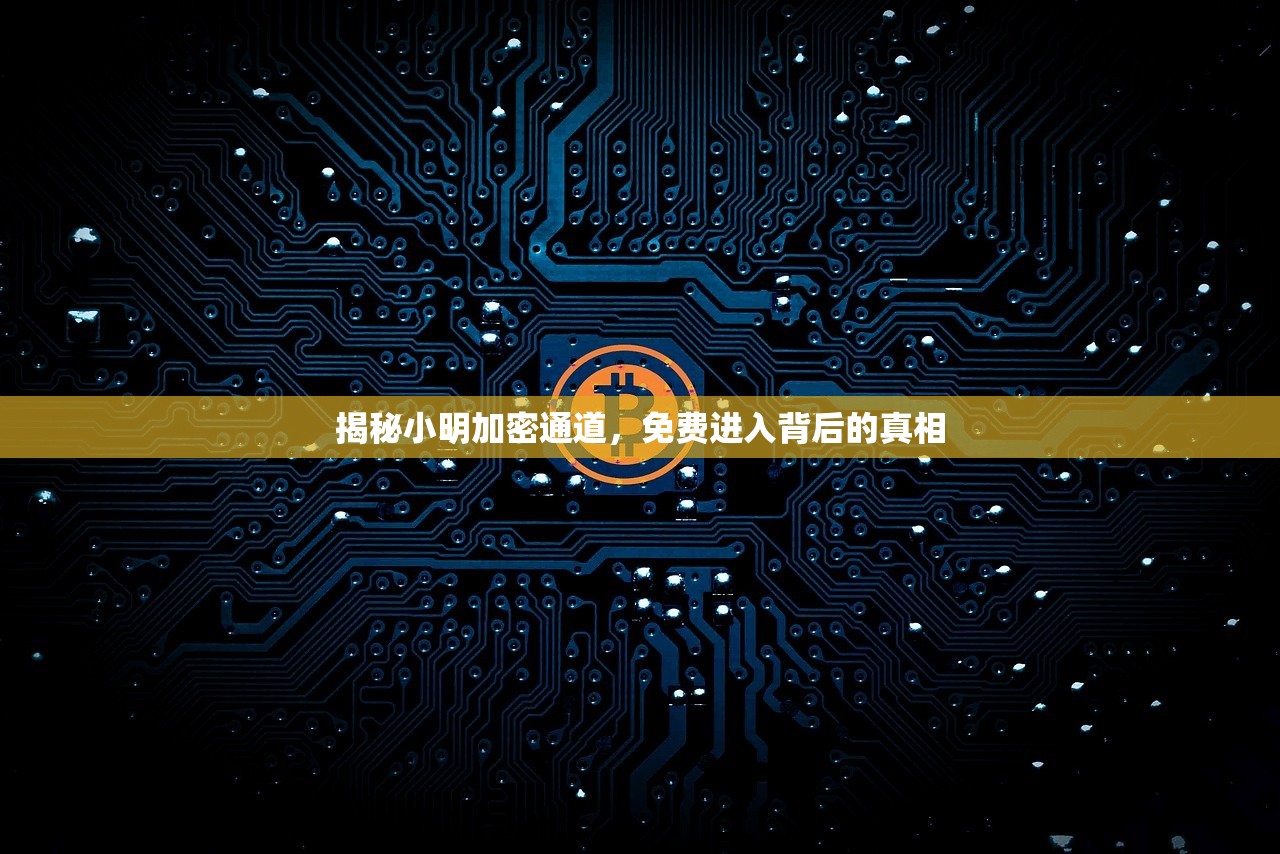 揭秘小明加密通道，免费进入背后的真相