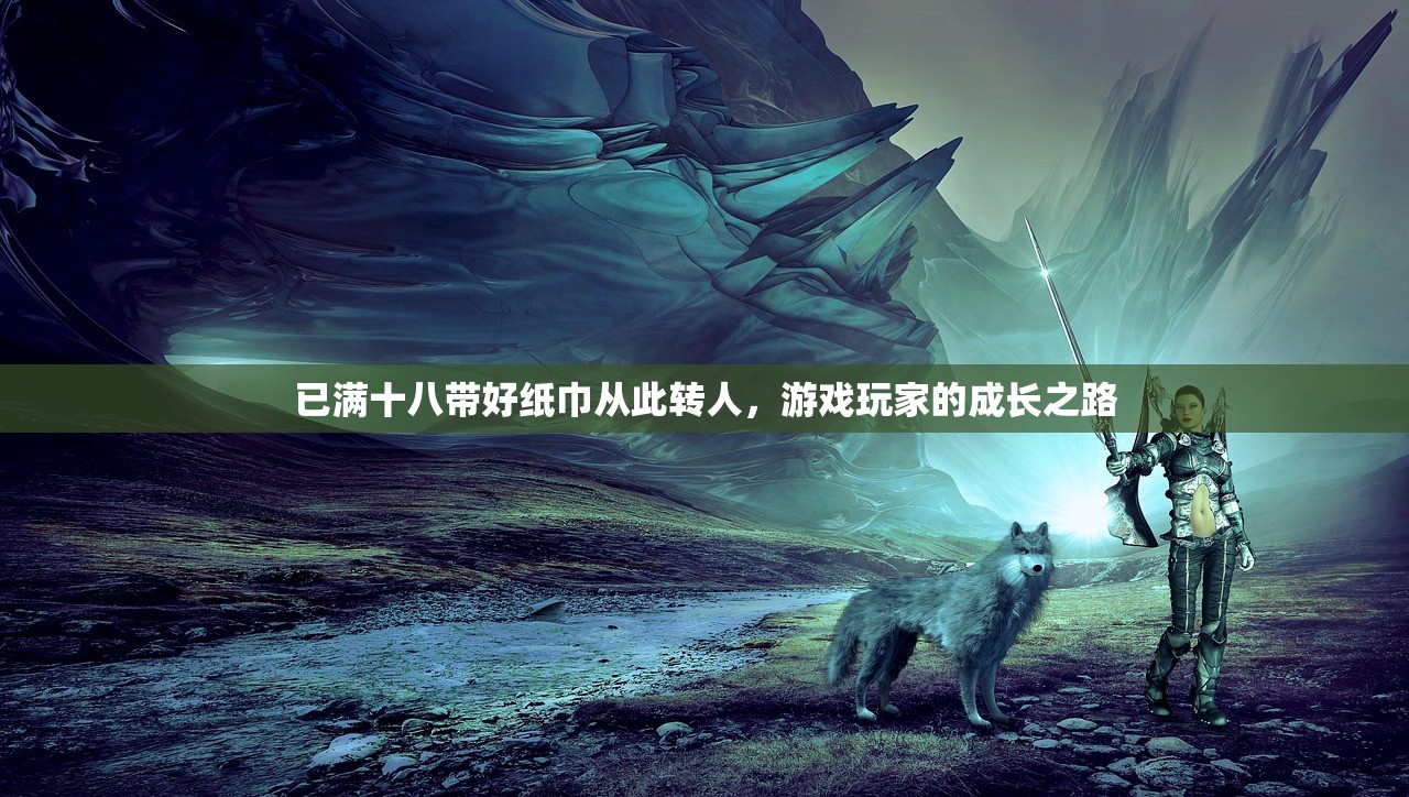 已满十八带好纸巾从此转人，游戏玩家的成长之路