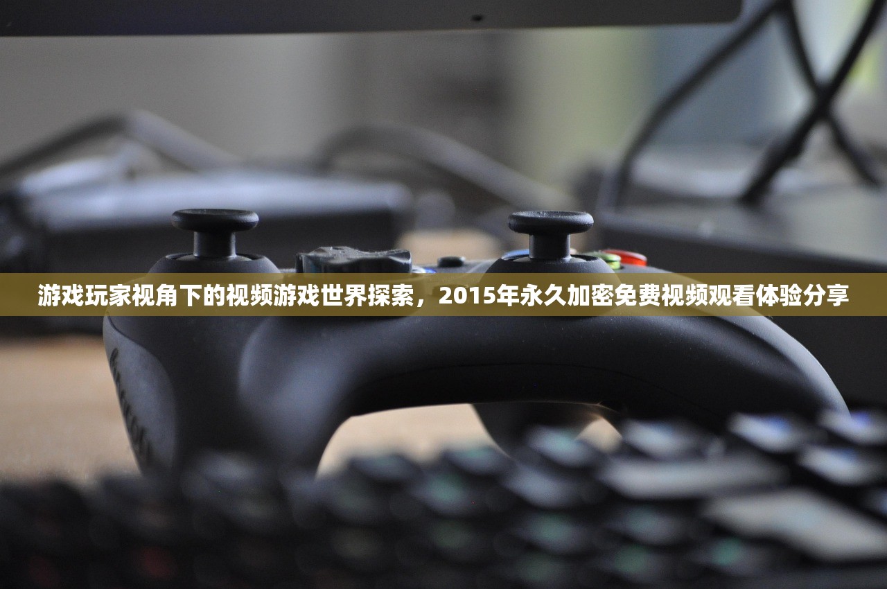 游戏玩家视角下的视频游戏世界探索，2015年永久加密免费视频观看体验分享