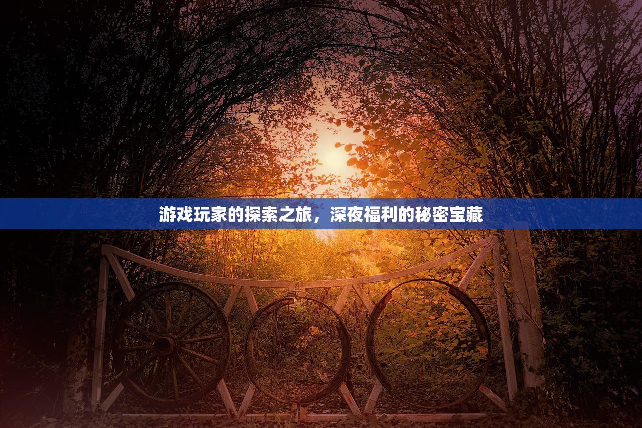 游戏玩家的探索之旅，深夜福利的秘密宝藏