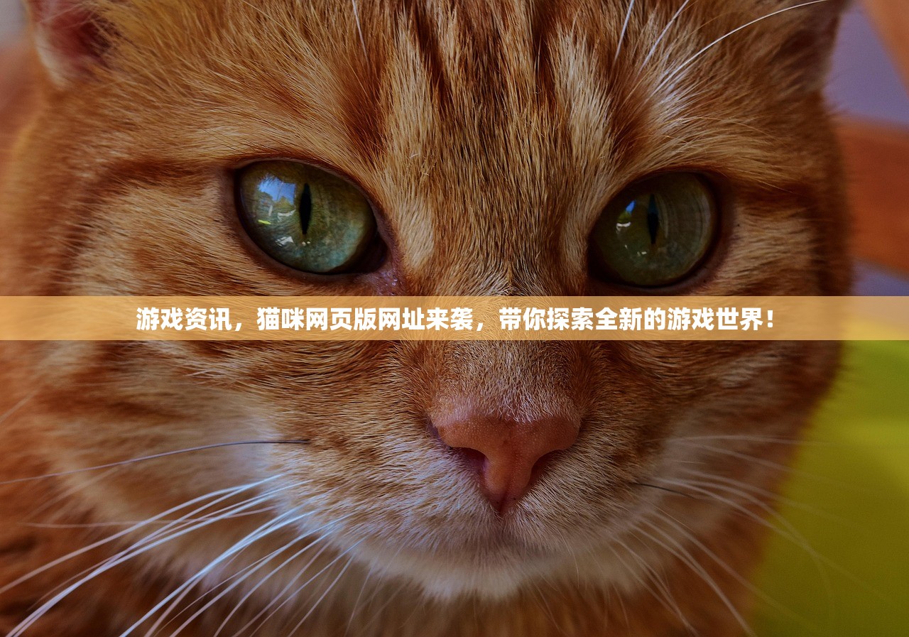 游戏资讯，猫咪网页版网址来袭，带你探索全新的游戏世界！