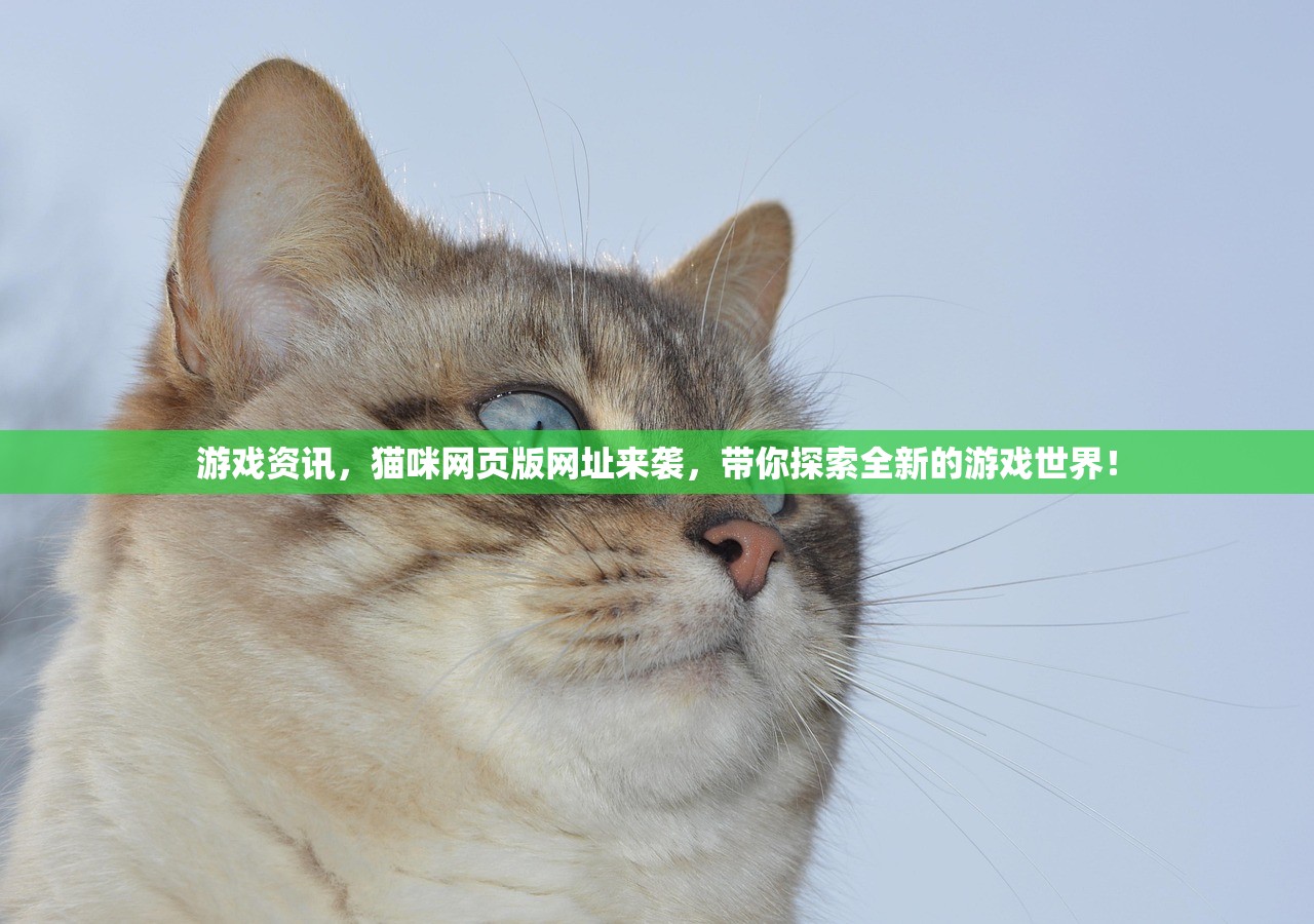 游戏资讯，猫咪网页版网址来袭，带你探索全新的游戏世界！