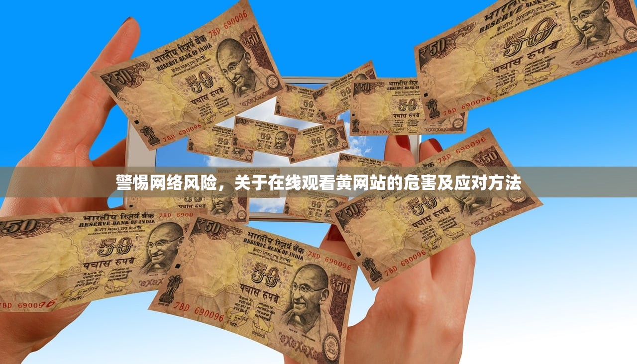 警惕网络风险，关于在线观看黄网站的危害及应对方法