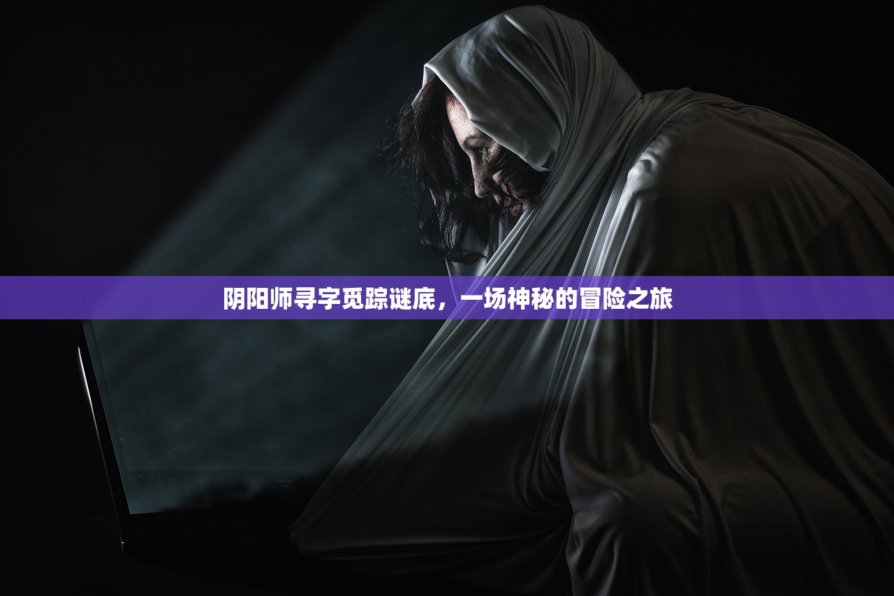 阴阳师寻字觅踪谜底，一场神秘的冒险之旅