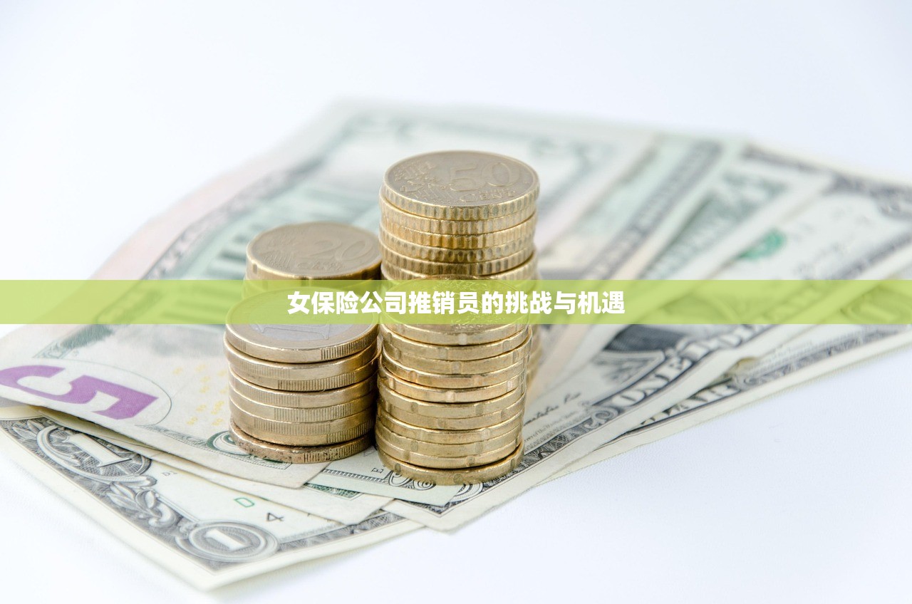 女保险公司推销员的挑战与机遇