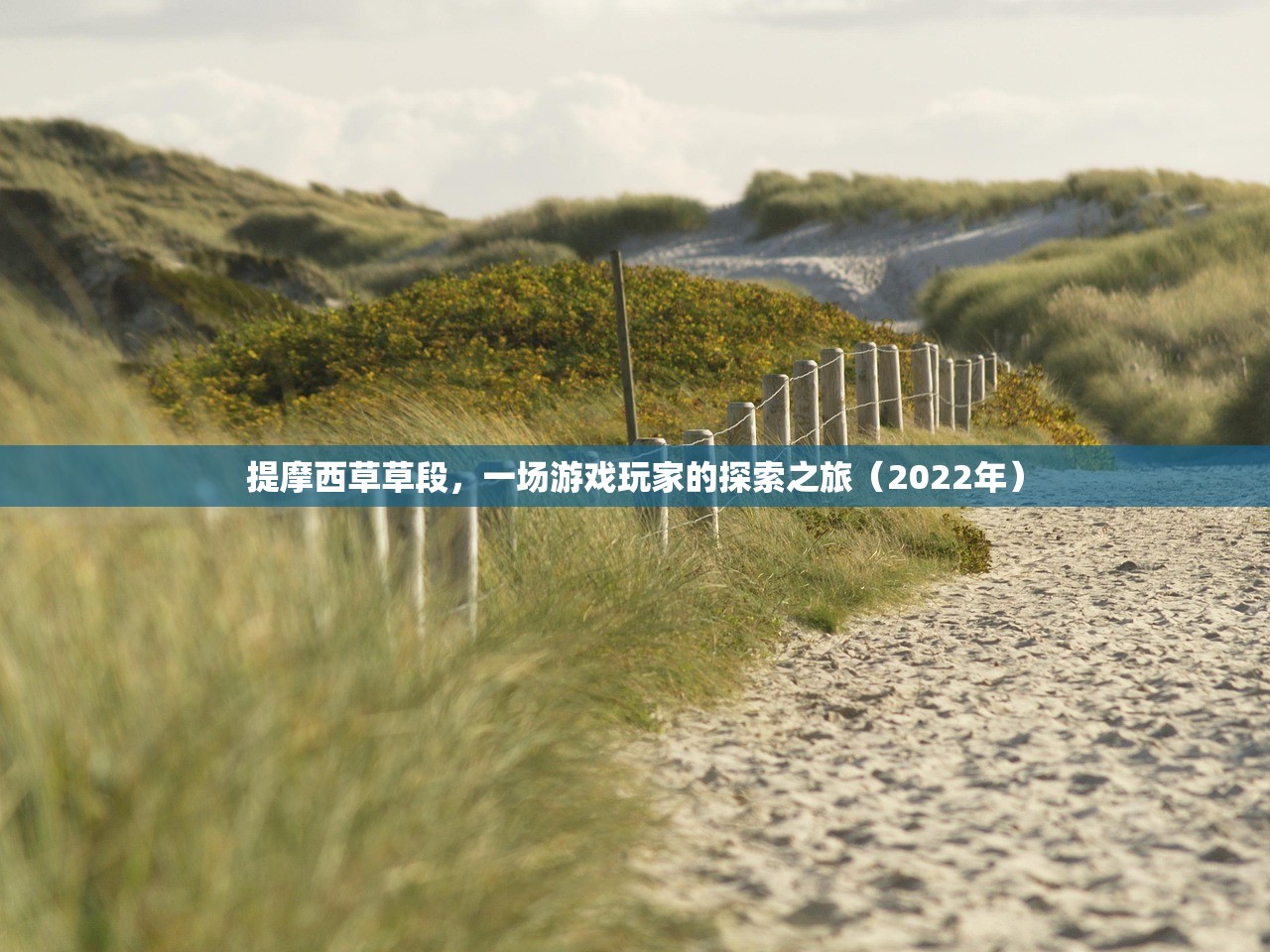 提摩西草草段，一场游戏玩家的探索之旅（2022年）