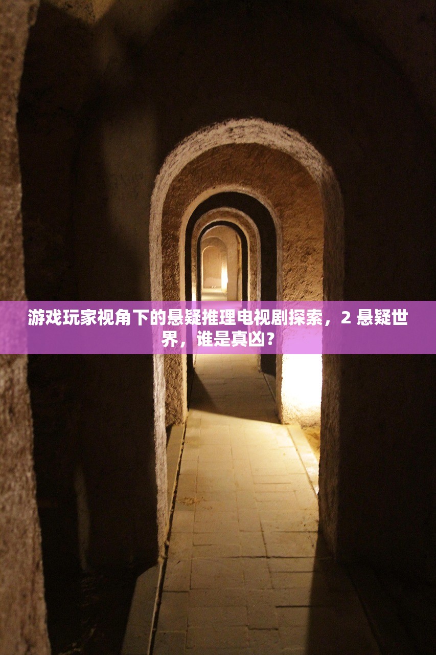 游戏玩家视角下的悬疑推理电视剧探索，2 悬疑世界，谁是真凶？