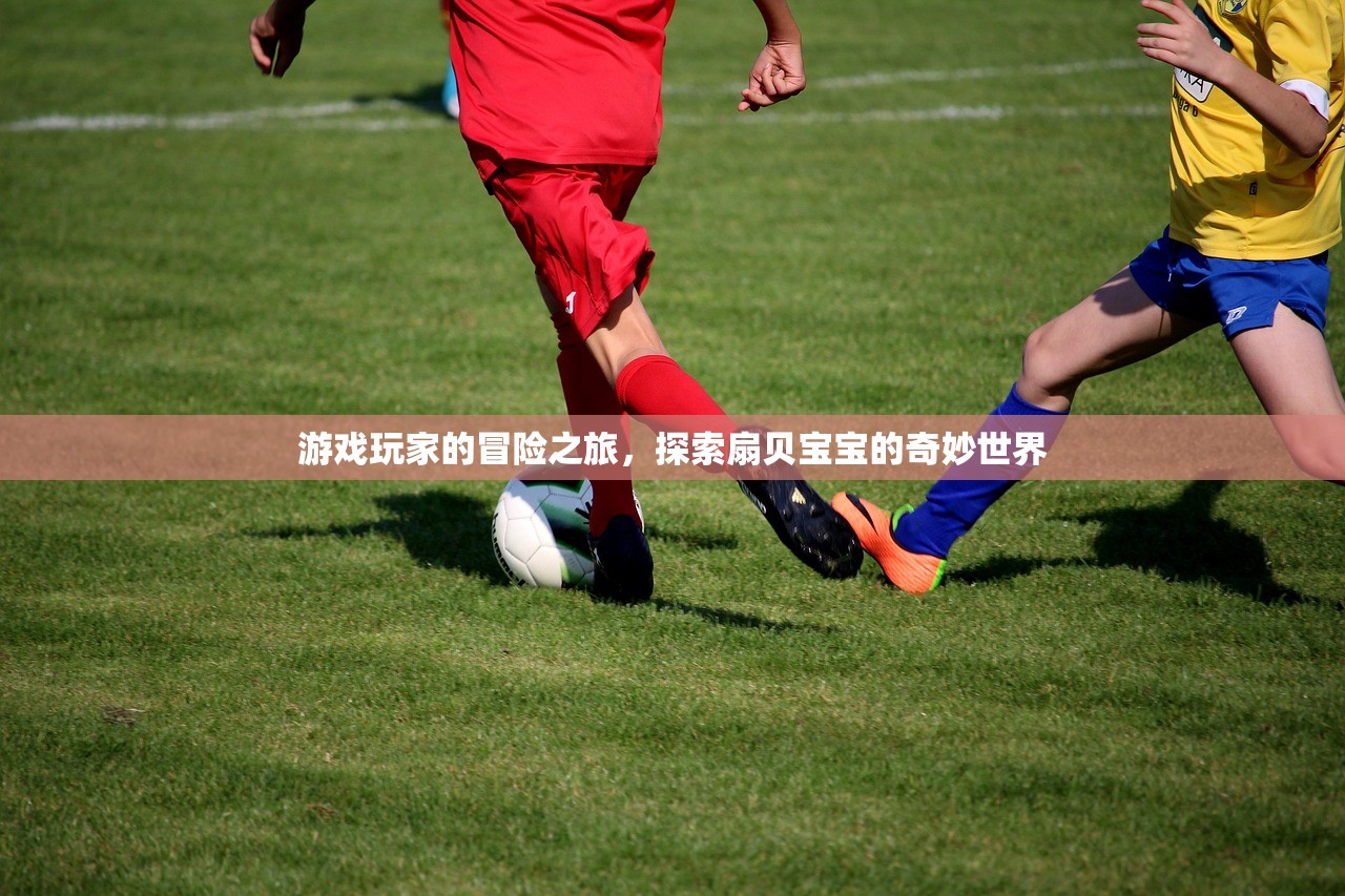 游戏玩家的冒险之旅，探索扇贝宝宝的奇妙世界