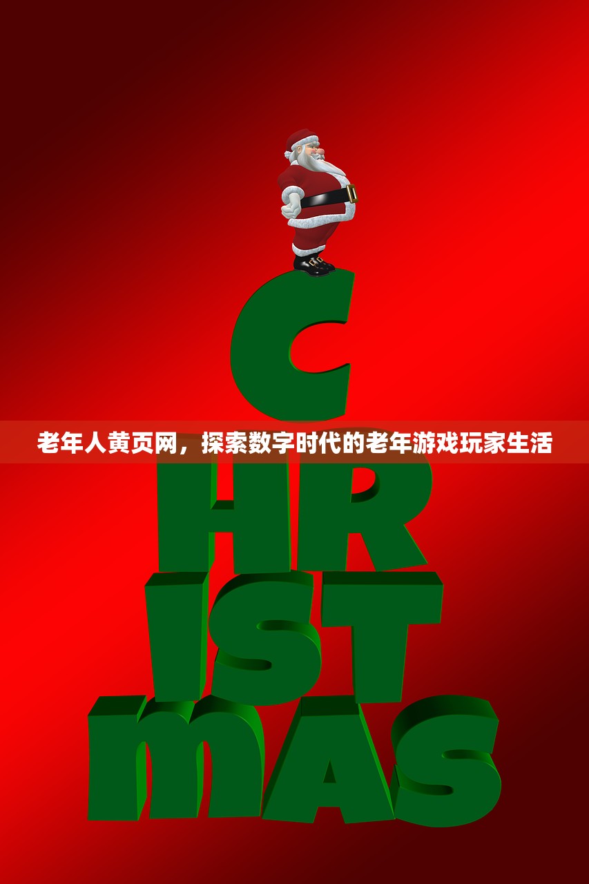 老年人黄页网，探索数字时代的老年游戏玩家生活