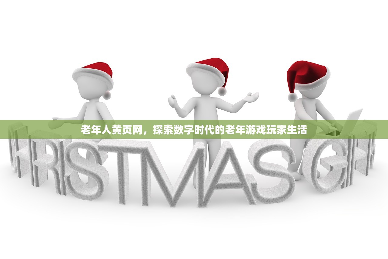 老年人黄页网，探索数字时代的老年游戏玩家生活