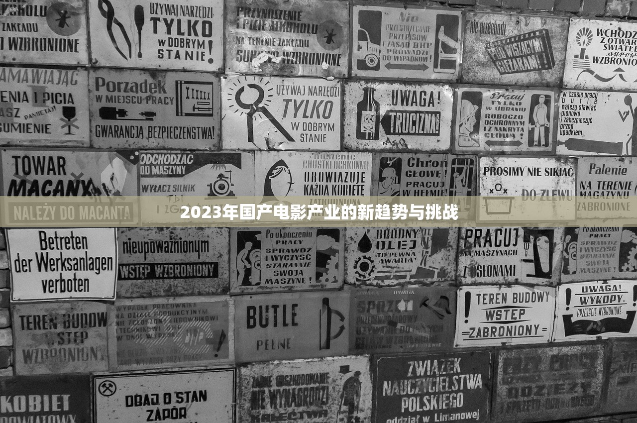 2023年国产电影产业的新趋势与挑战