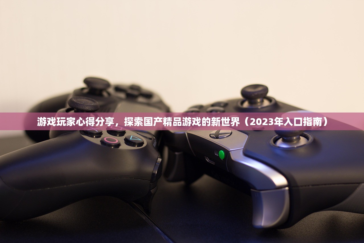 游戏玩家心得分享，探索国产精品游戏的新世界（2023年入口指南）