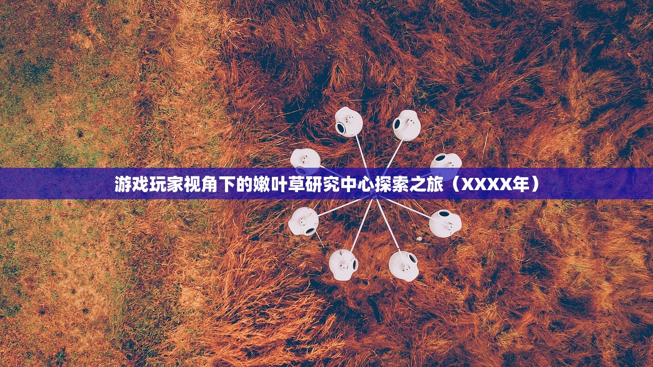 游戏玩家视角下的嫩叶草研究中心探索之旅（XXXX年）