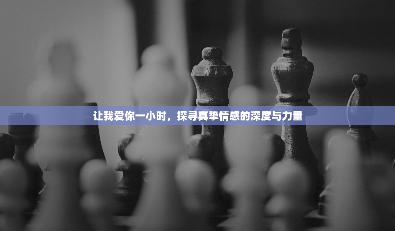 让我爱你一小时，探寻真挚情感的深度与力量