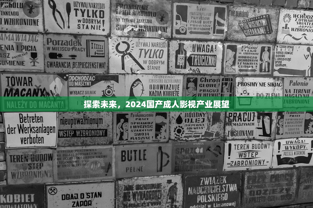探索未来，2024国产成人影视产业展望