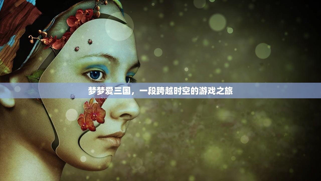 梦梦爱三国，一段跨越时空的游戏之旅