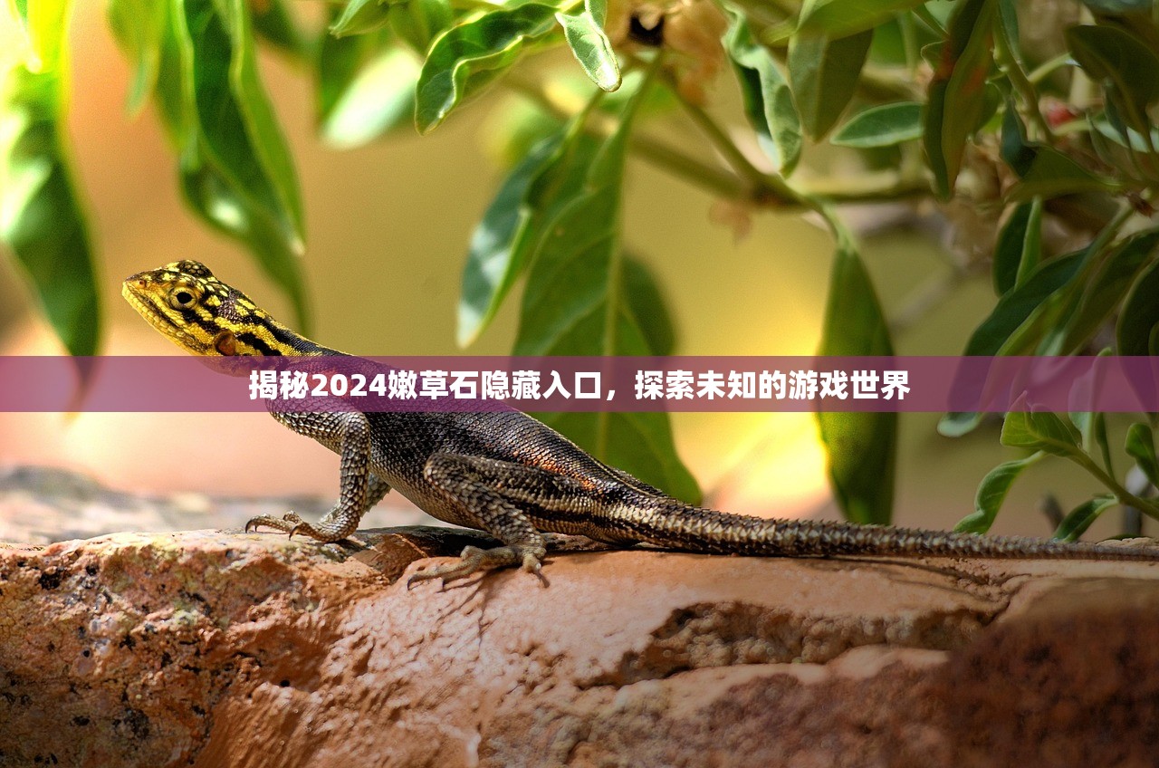 揭秘2024嫩草石隐藏入口，探索未知的游戏世界