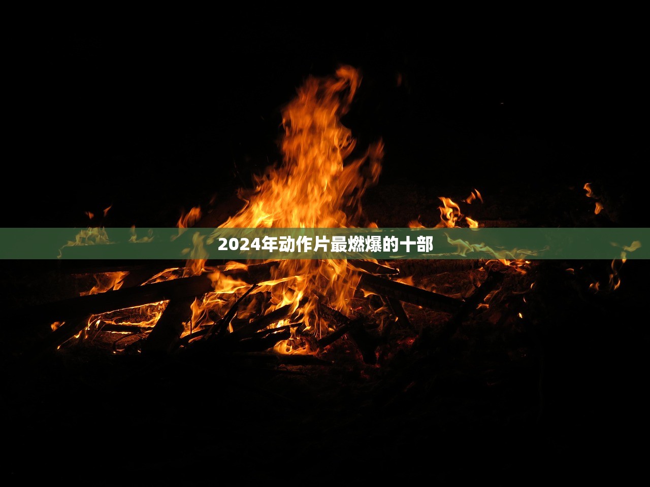 2024年动作片最燃爆的十部