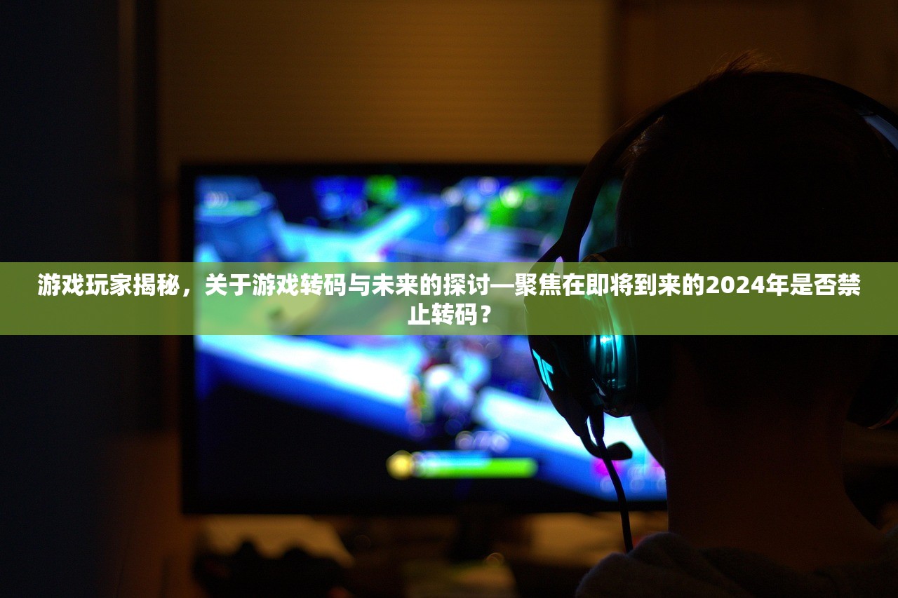 游戏玩家揭秘，关于游戏转码与未来的探讨—聚焦在即将到来的2024年是否禁止转码？
