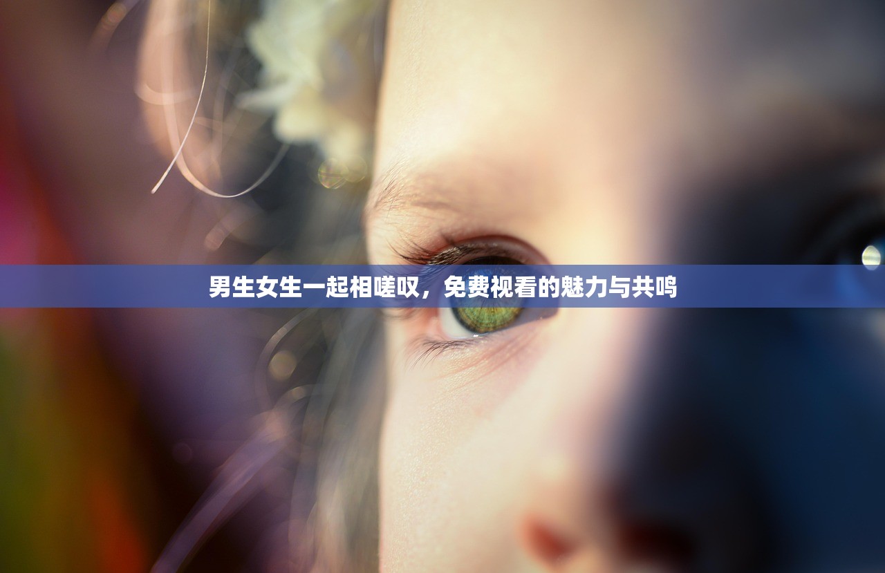 男生女生一起相嗟叹，免费视看的魅力与共鸣