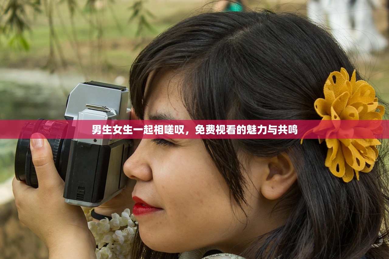 男生女生一起相嗟叹，免费视看的魅力与共鸣