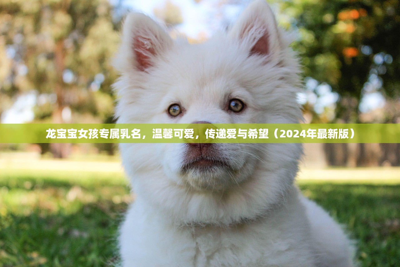 龙宝宝女孩专属乳名，温馨可爱，传递爱与希望（2024年最新版）