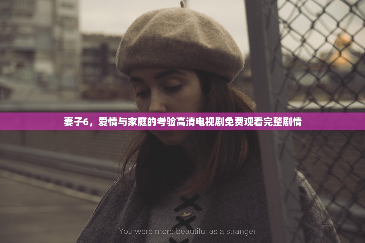 妻子6，爱情与家庭的考验高清电视剧免费观看完整剧情