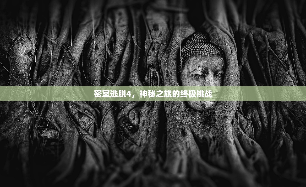 密室逃脱4，神秘之旅的终极挑战