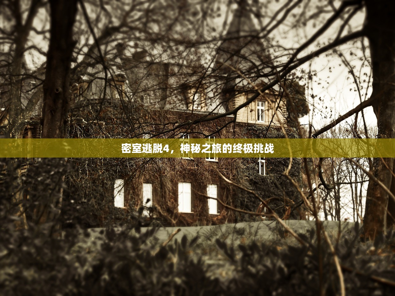 密室逃脱4，神秘之旅的终极挑战