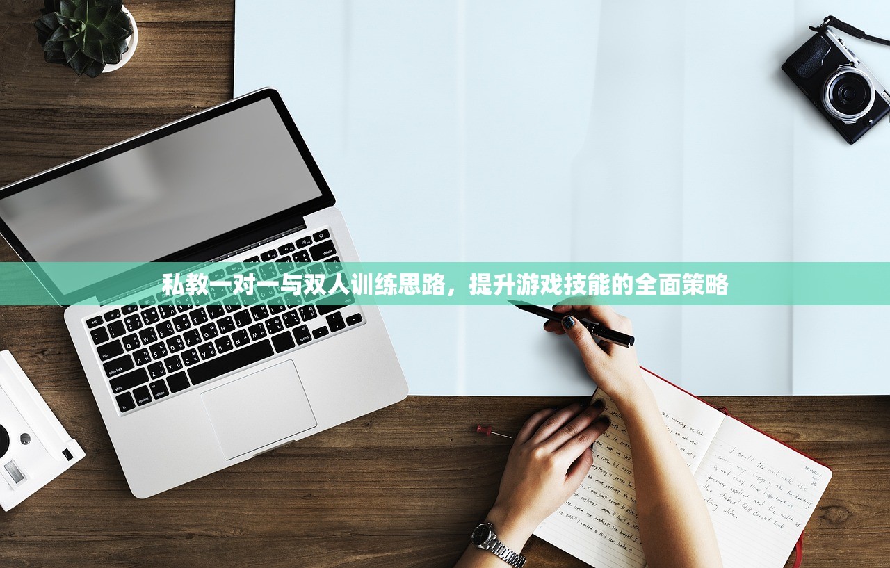 私教一对一与双人训练思路，提升游戏技能的全面策略