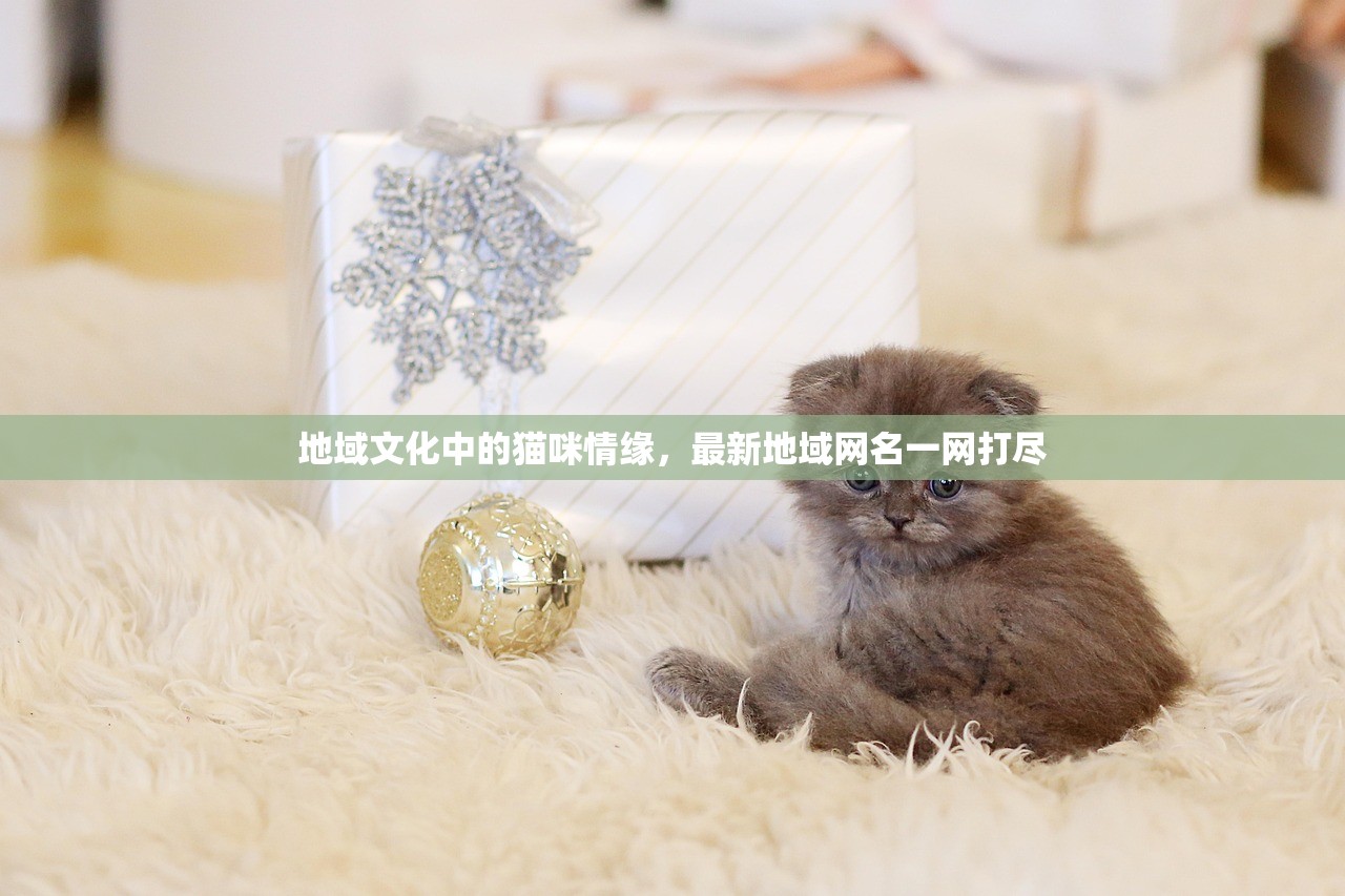 地域文化中的猫咪情缘，最新地域网名一网打尽