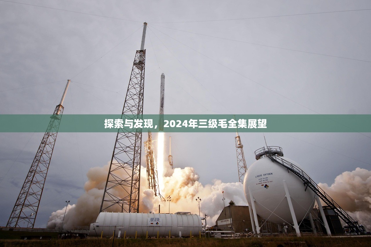 探索与发现，2024年三级毛全集展望