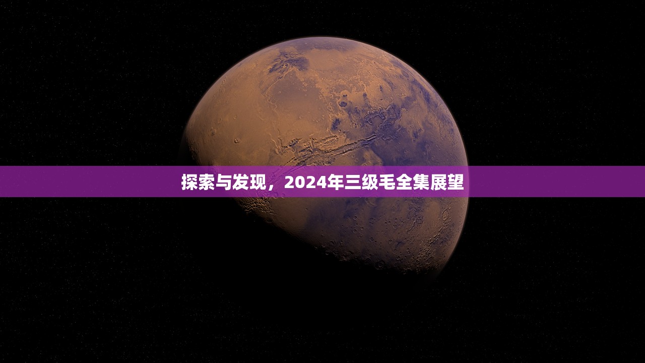 探索与发现，2024年三级毛全集展望