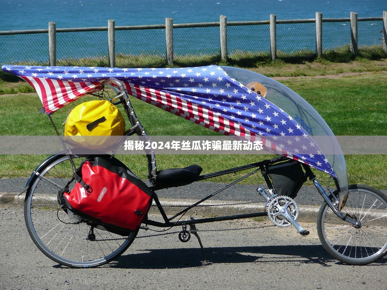 揭秘2024年丝瓜诈骗最新动态
