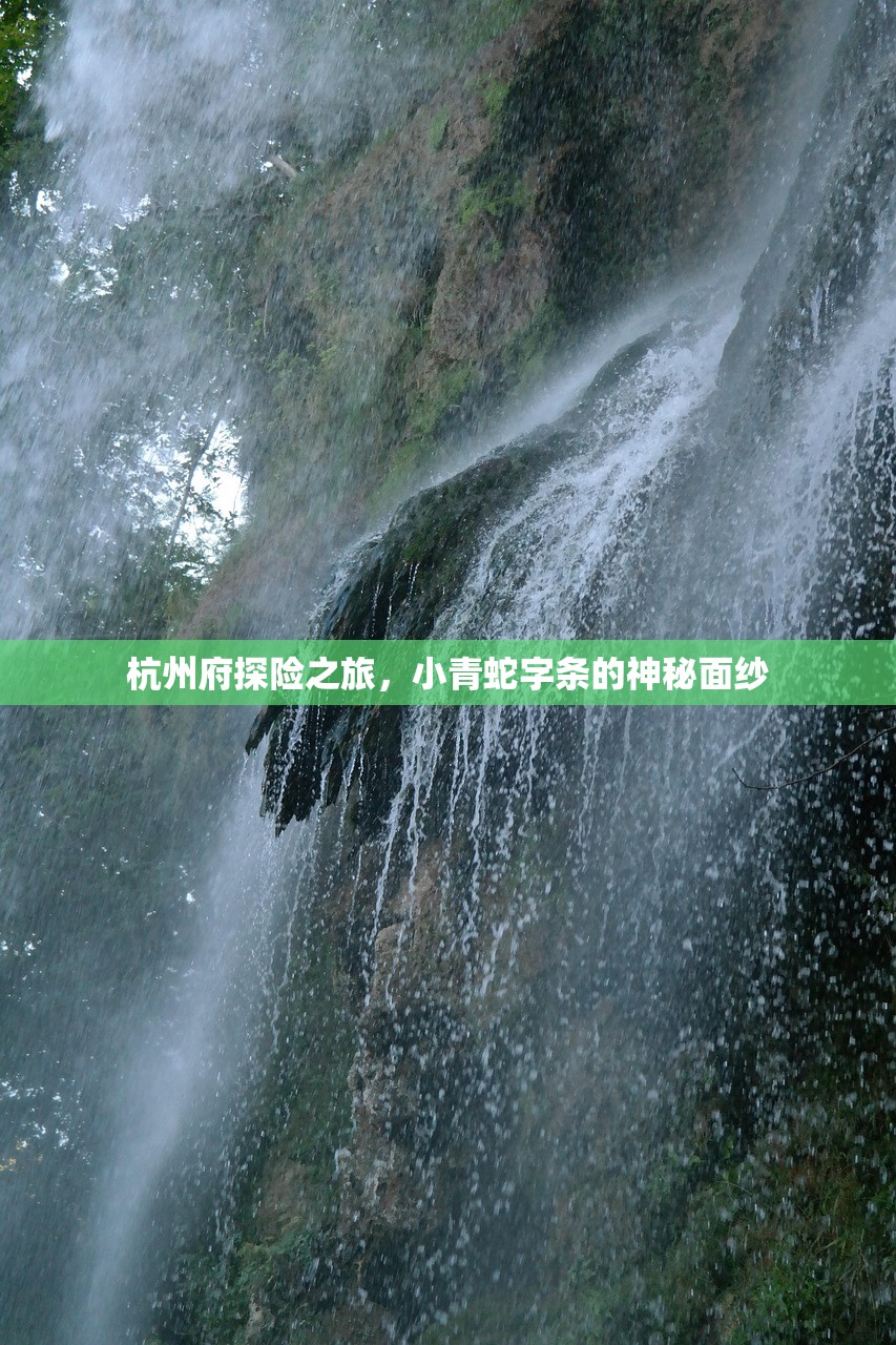 杭州府探险之旅，小青蛇字条的神秘面纱
