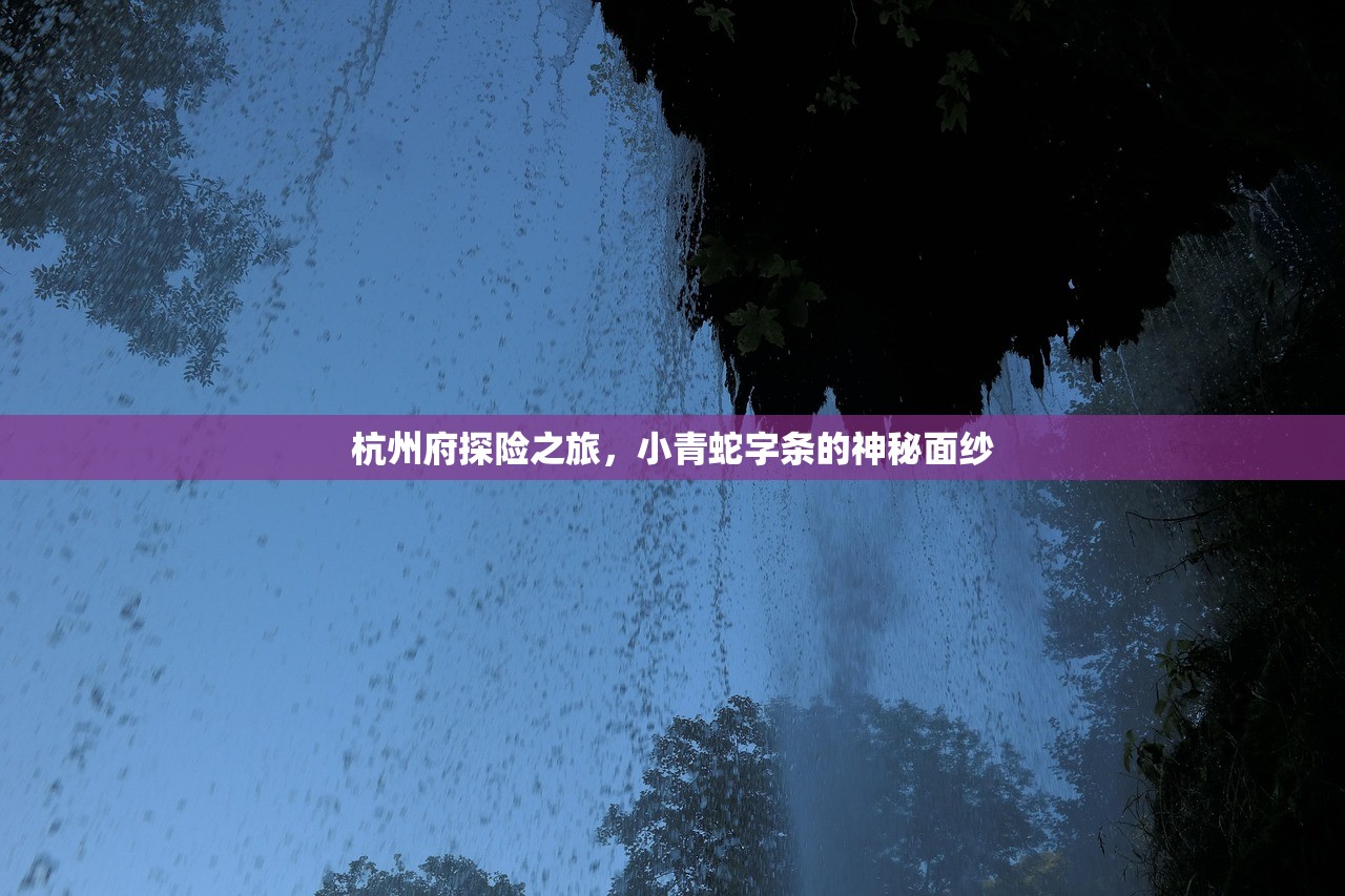 杭州府探险之旅，小青蛇字条的神秘面纱