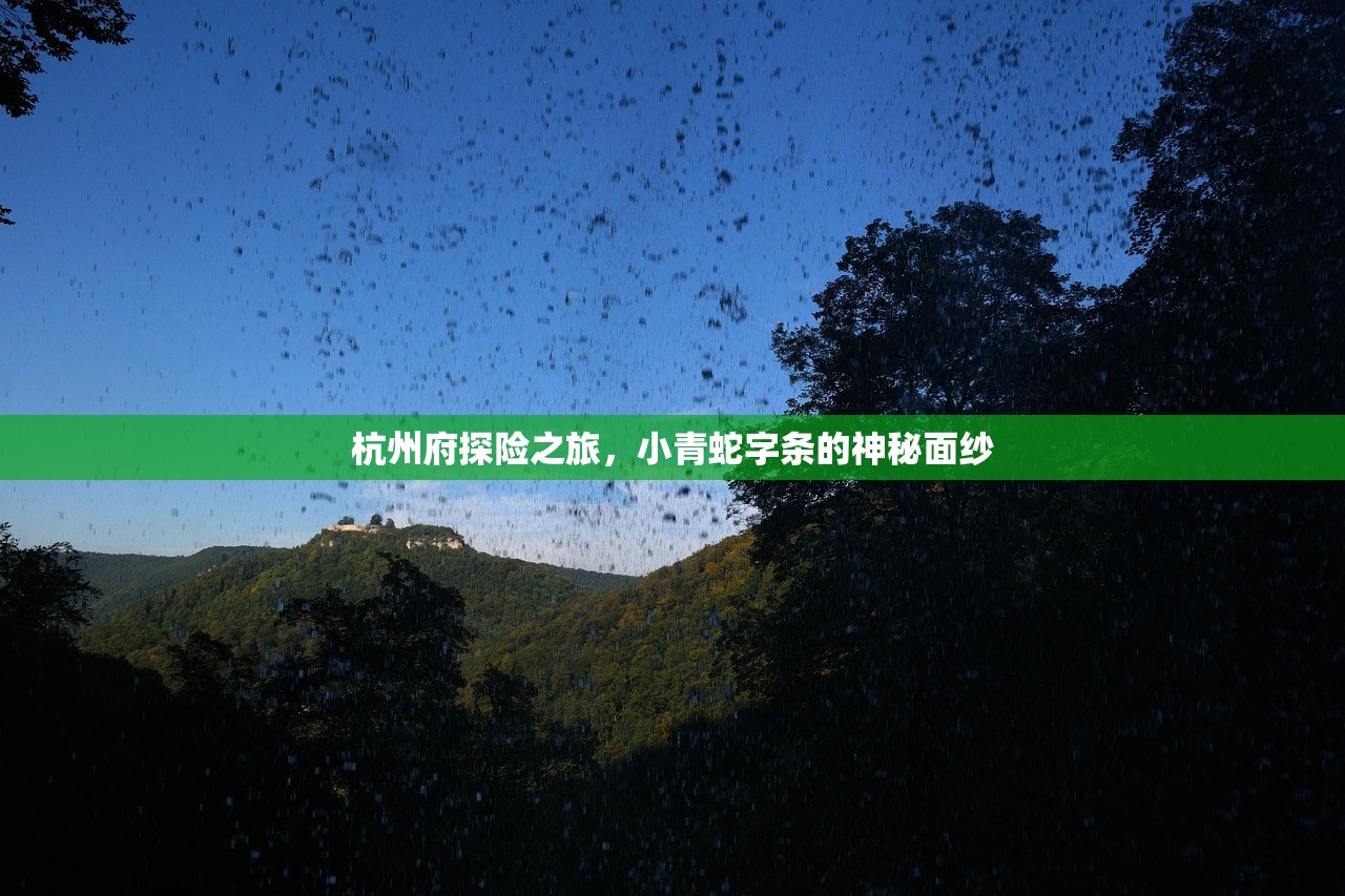 杭州府探险之旅，小青蛇字条的神秘面纱