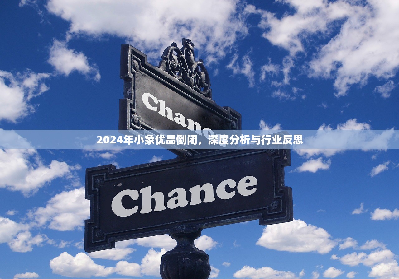2024年小象优品倒闭，深度分析与行业反思