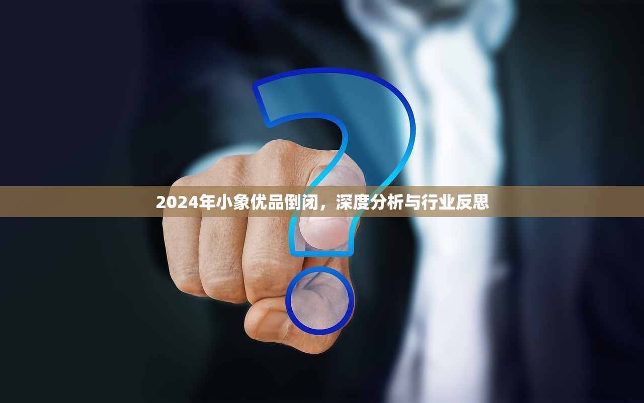 2024年小象优品倒闭，深度分析与行业反思