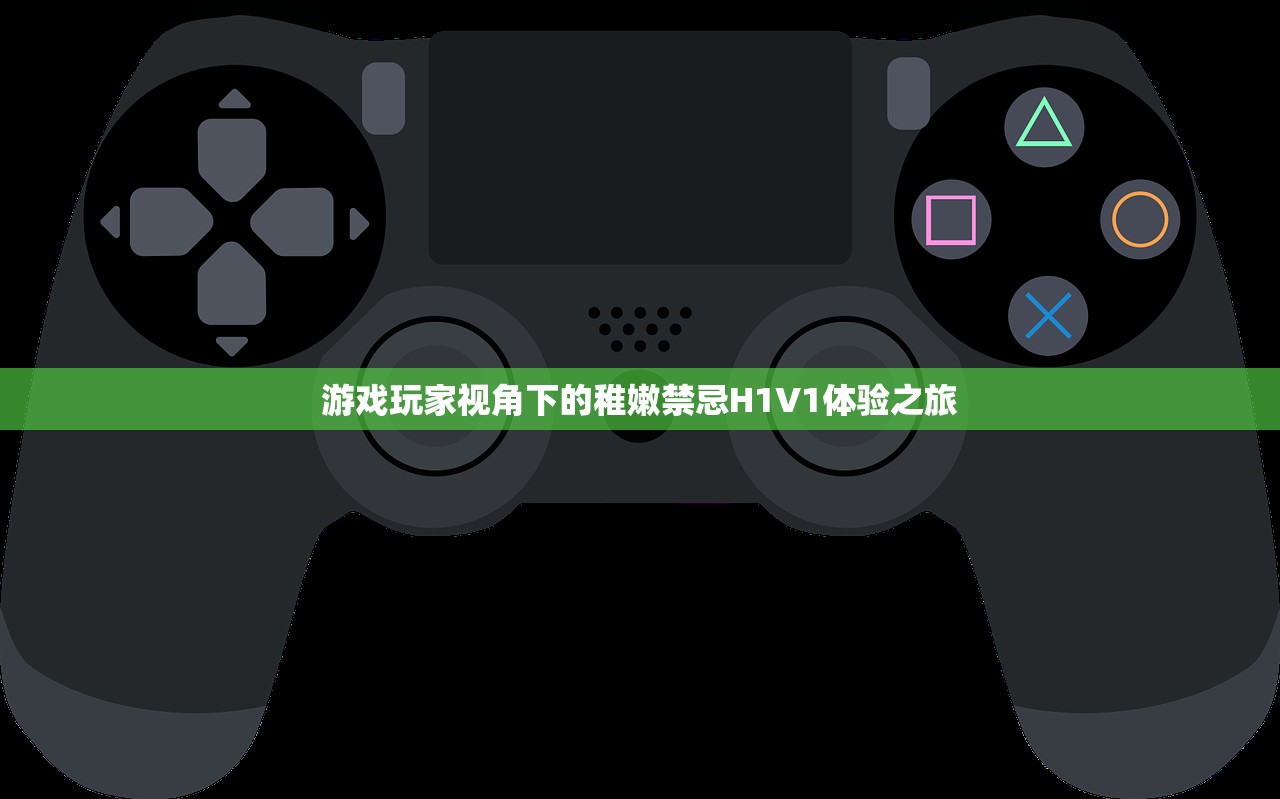 游戏玩家视角下的稚嫩禁忌H1V1体验之旅