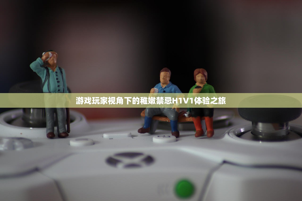 游戏玩家视角下的稚嫩禁忌H1V1体验之旅
