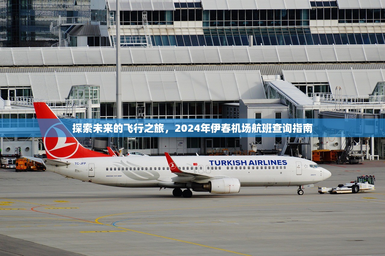 探索未来的飞行之旅，2024年伊春机场航班查询指南