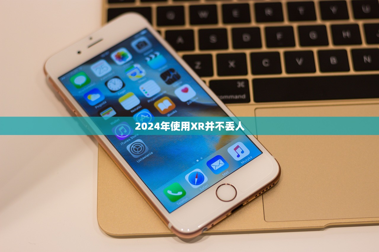 2024年使用XR并不丢人