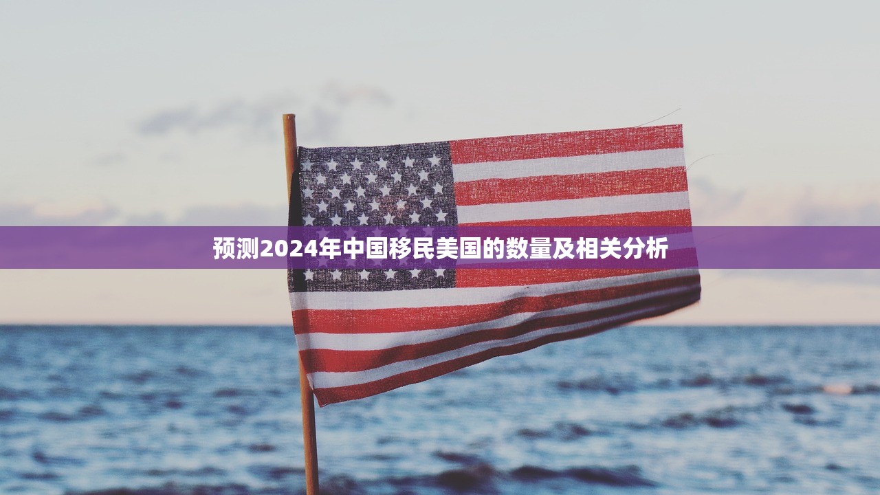 预测2024年中国移民美国的数量及相关分析