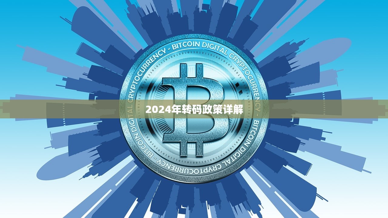2024年转码政策详解
