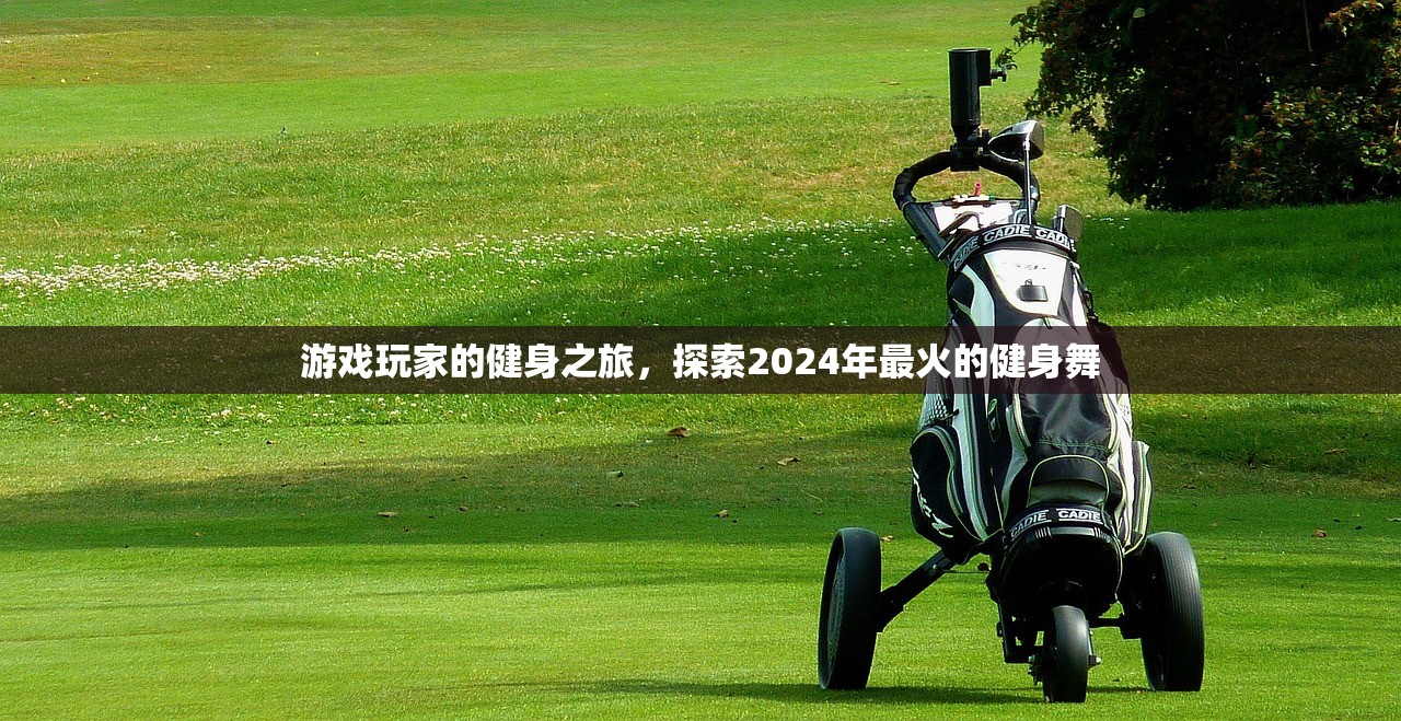 游戏玩家的健身之旅，探索2024年最火的健身舞