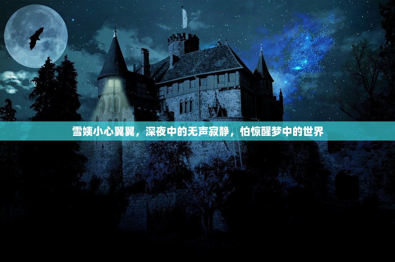 雪姨小心翼翼，深夜中的无声寂静，怕惊醒梦中的世界